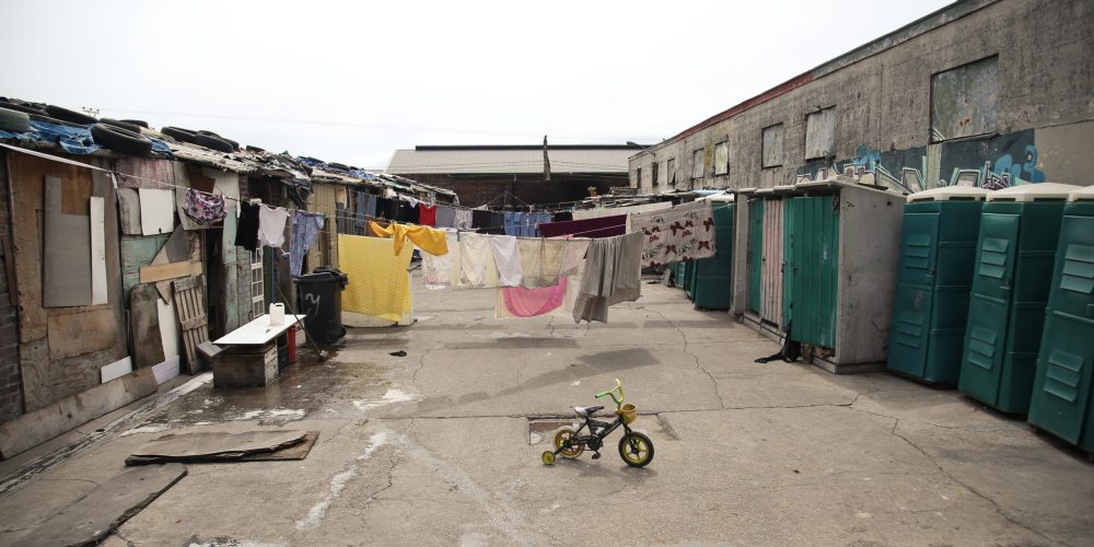 DAG_Salt River Stables-22